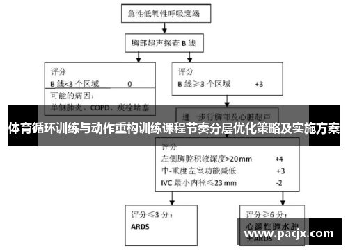 体育循环训练与动作重构训练课程节奏分层优化策略及实施方案