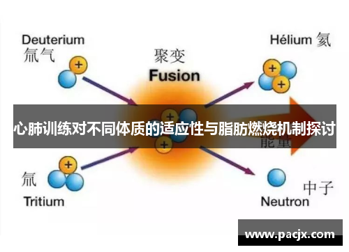 心肺训练对不同体质的适应性与脂肪燃烧机制探讨